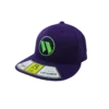 Kelly's Ultimate Sports Worth Hat By Richardson (PTS30) All Purple/Neon Green -Baseball Apparel Store hat wor rich ppl grn 1