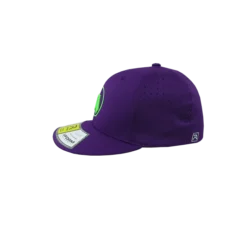 Kelly's Ultimate Sports Worth Hat By Richardson (PTS30) All Purple/Neon Green -Baseball Apparel Store hat wor rich ppl grn 2